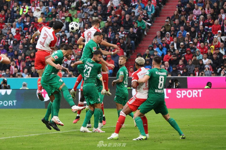 这位在欧洲 这位在欧洲